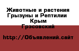 Животные и растения Грызуны и Рептилии. Крым,Грэсовский